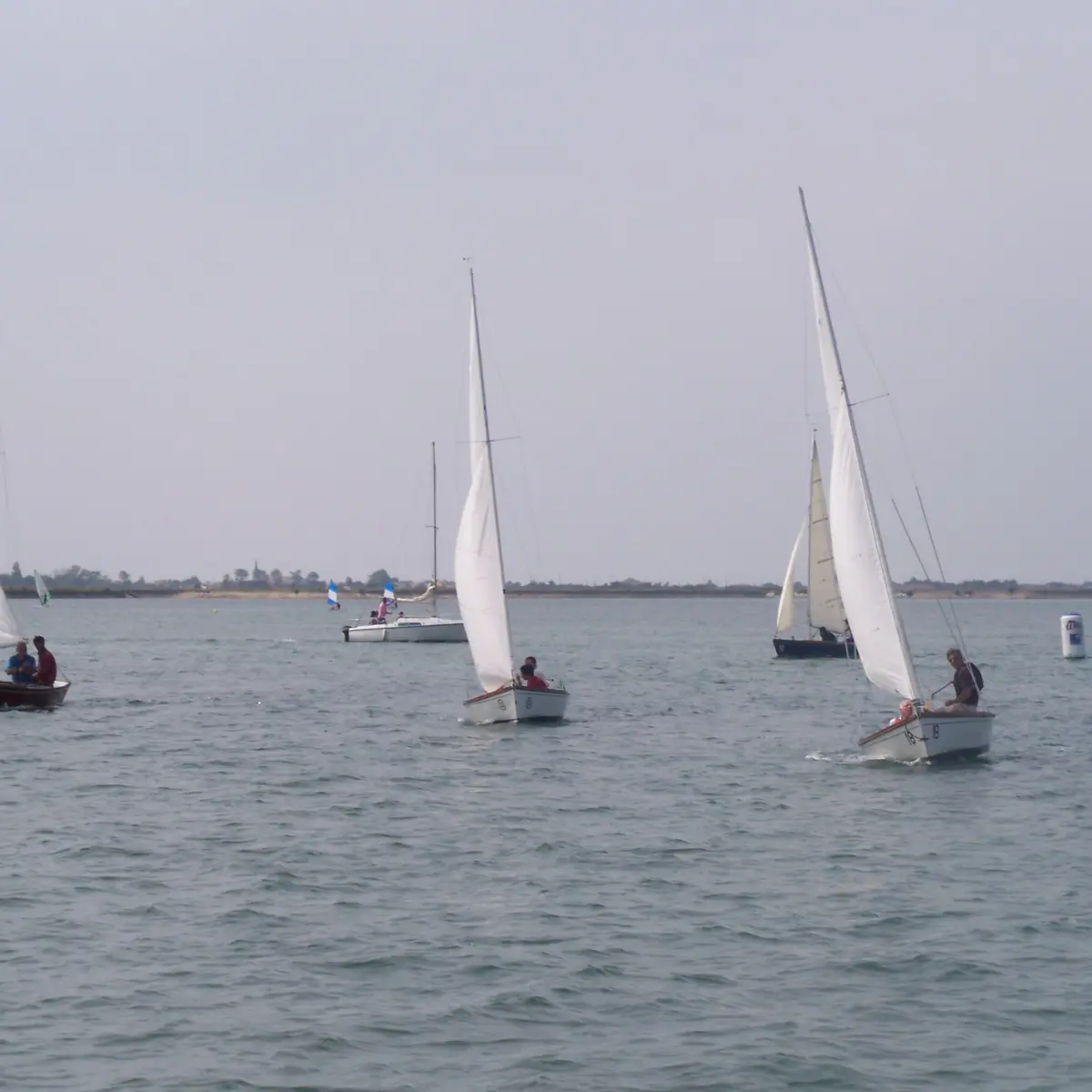 Cazavants in Flotille