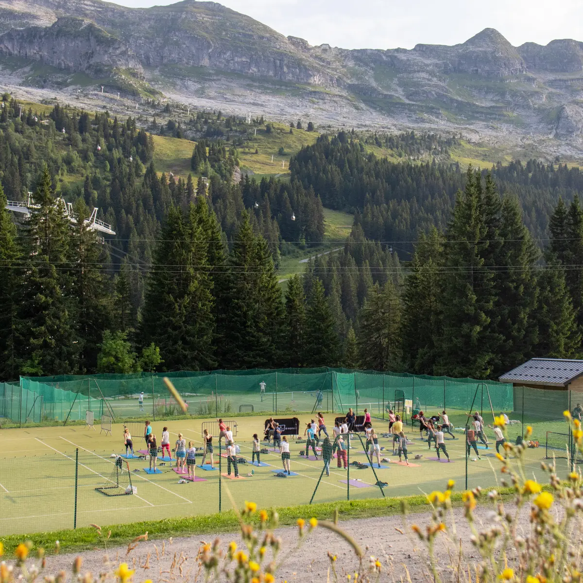 Vue d'ensemble du cours de yoga