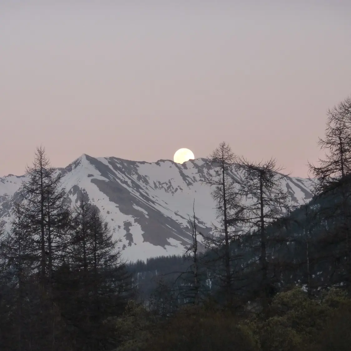 Raquettes avec Valgo Champsaur Sauvage