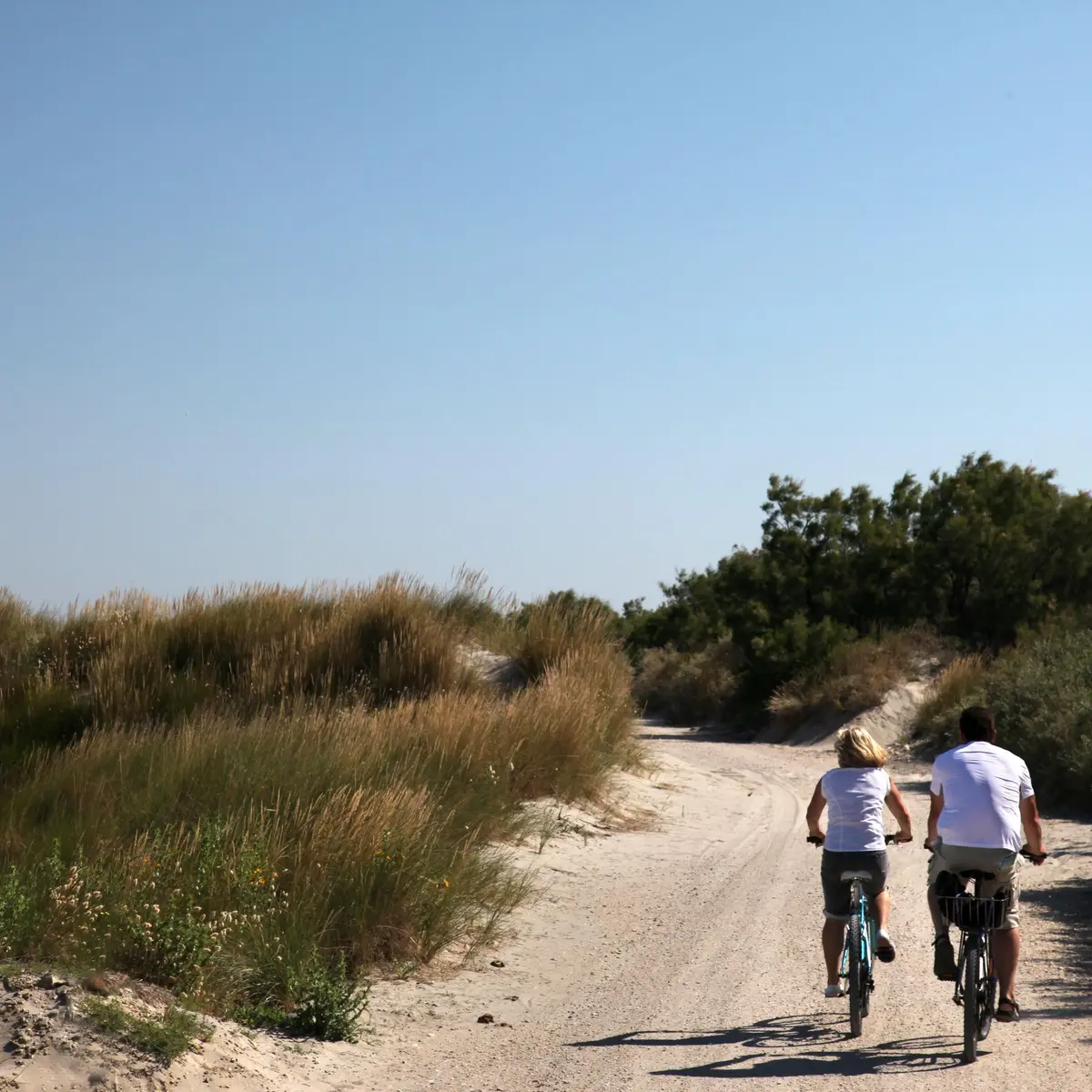 Cyclistes sur la digue à la mer