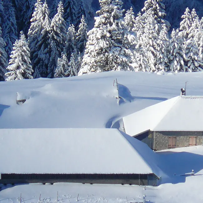 Chalets de la Fullie