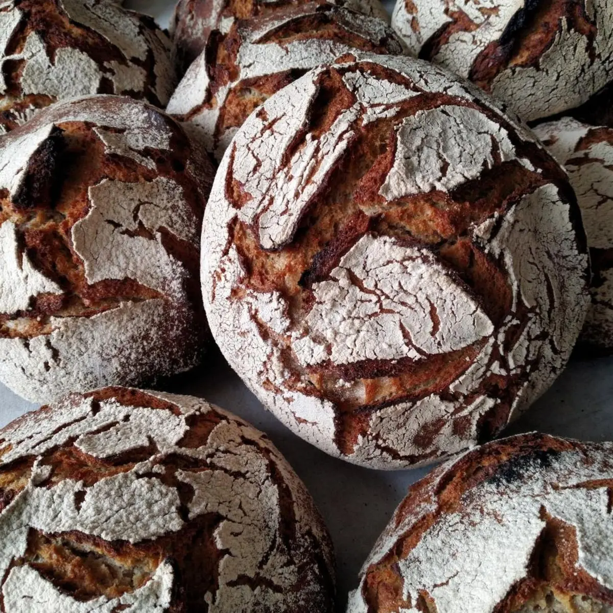 boules de pain au levain bio