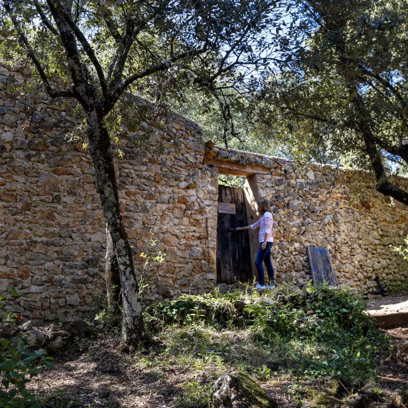 Apié de Gayassu - Correns