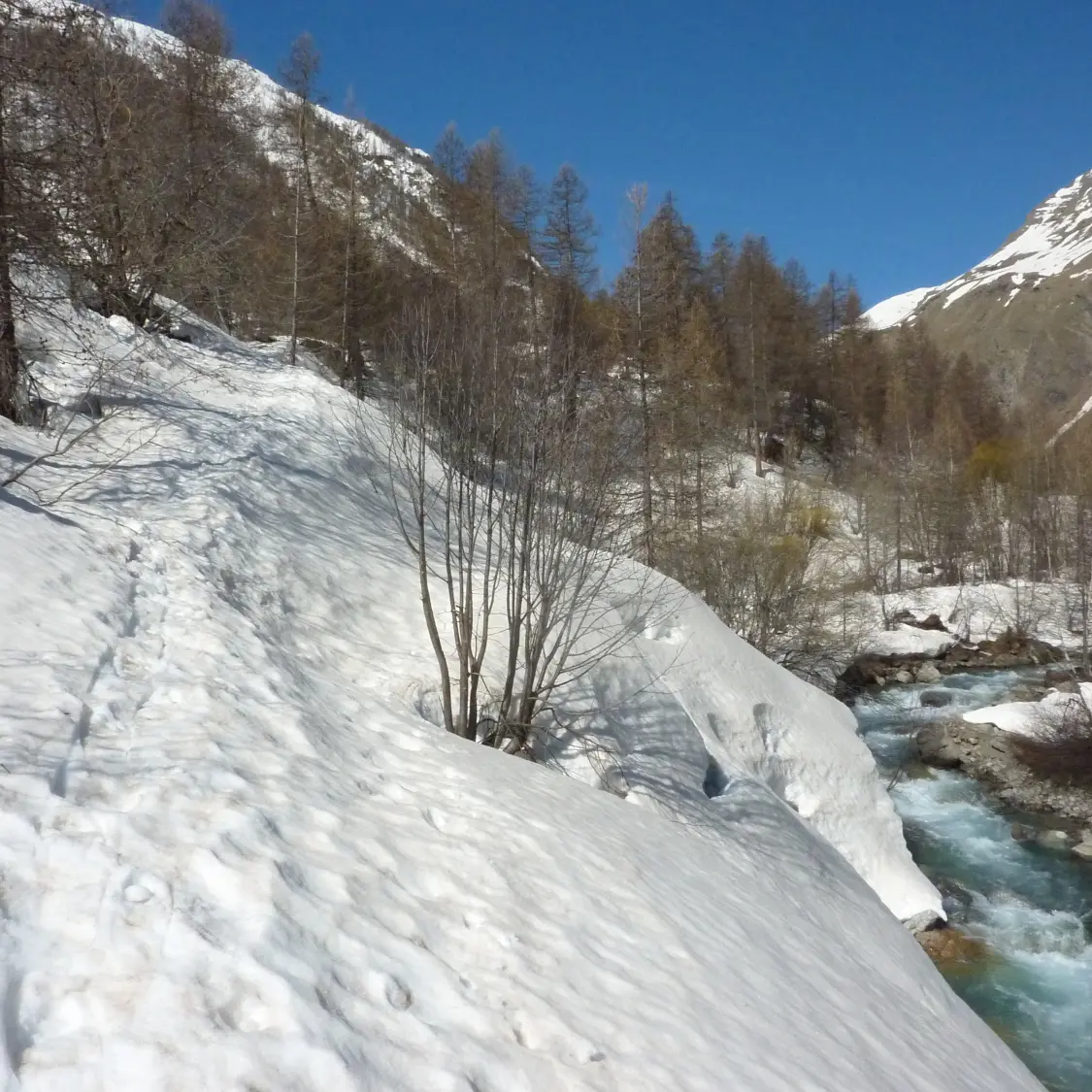 Raquettes avec Valgo Champsaur Sauvage