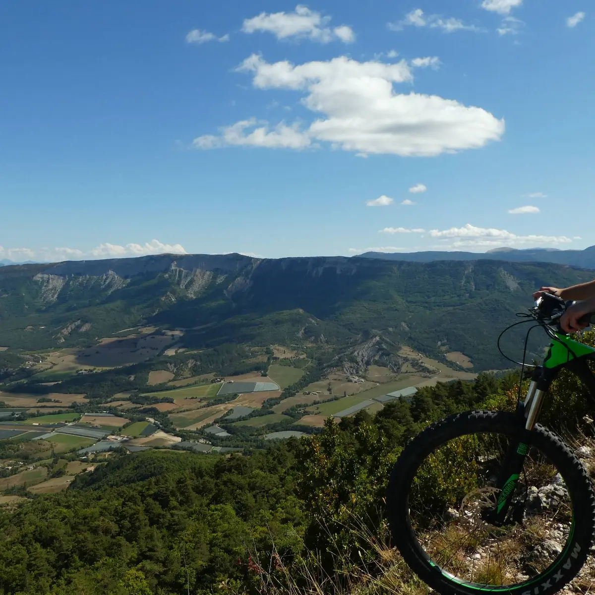 Instant contemplation