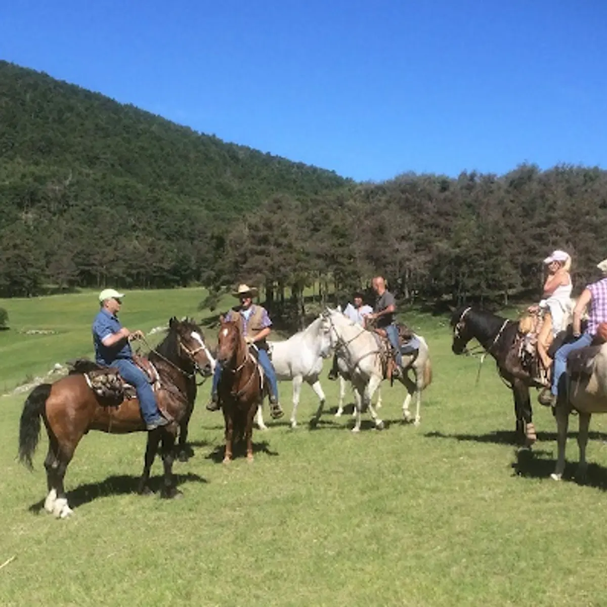 Sur la route Napoléon