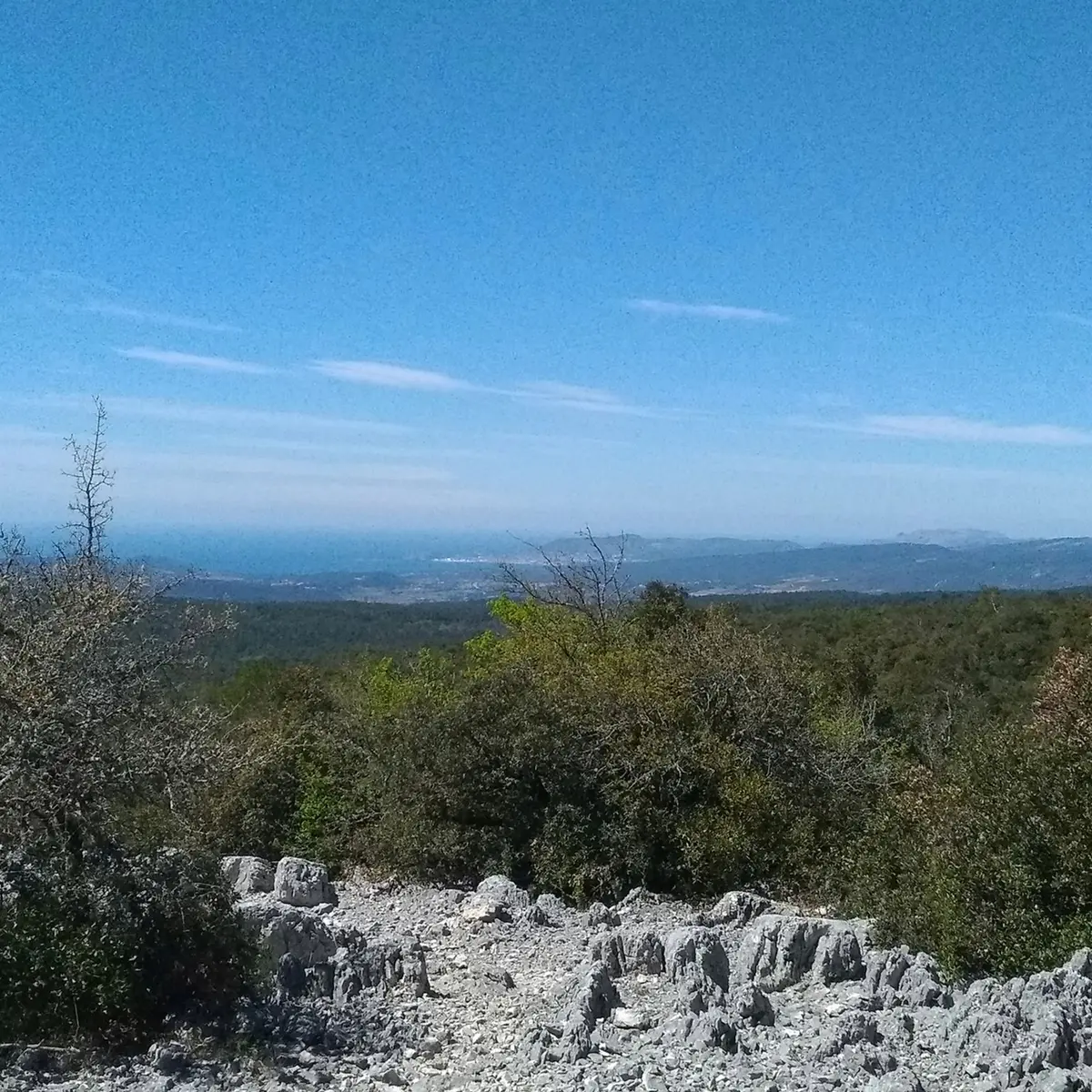 Panorama sur la baie de la Ciotat
