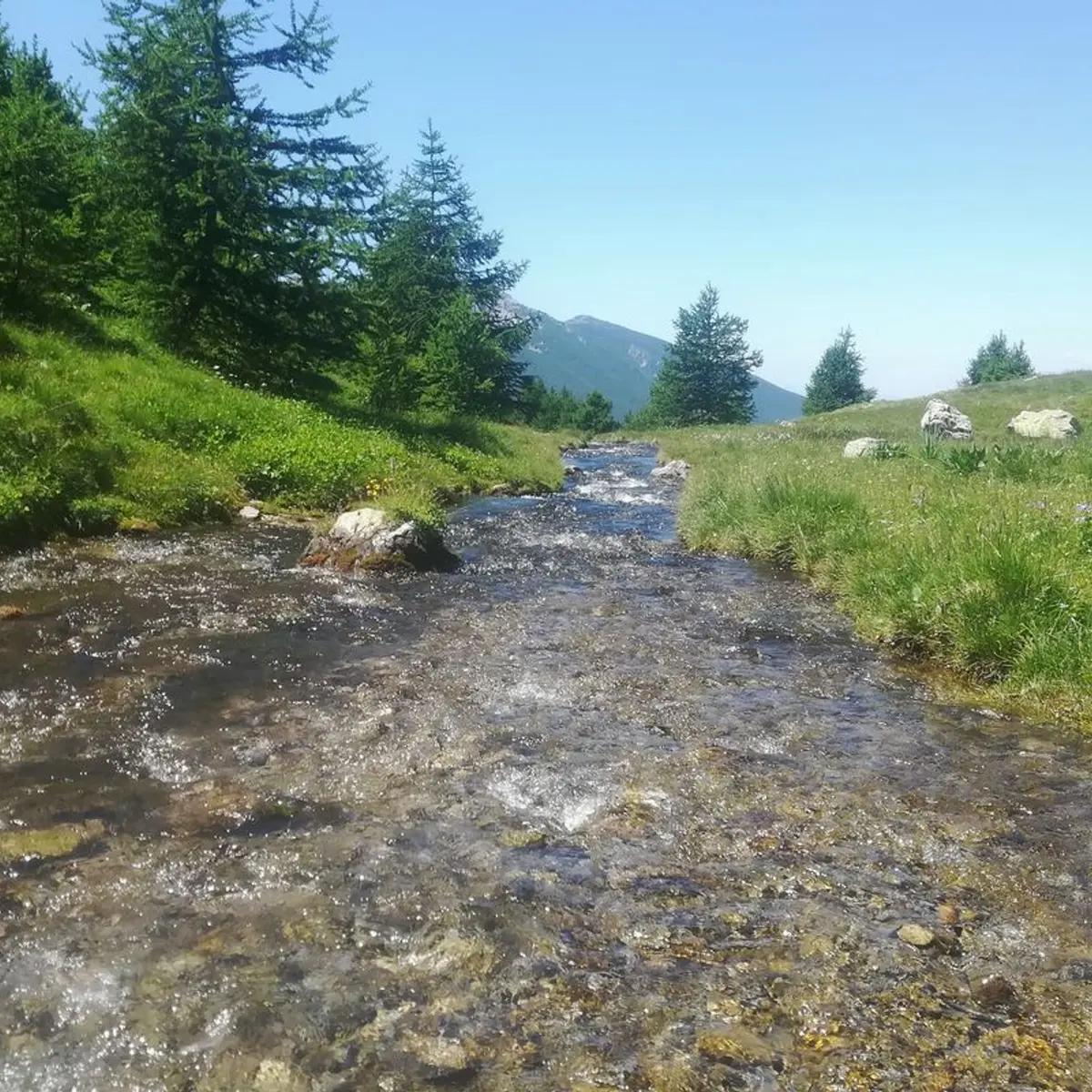 Torrent du Crachet