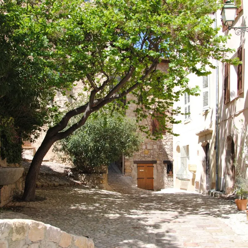 Promenade botanique