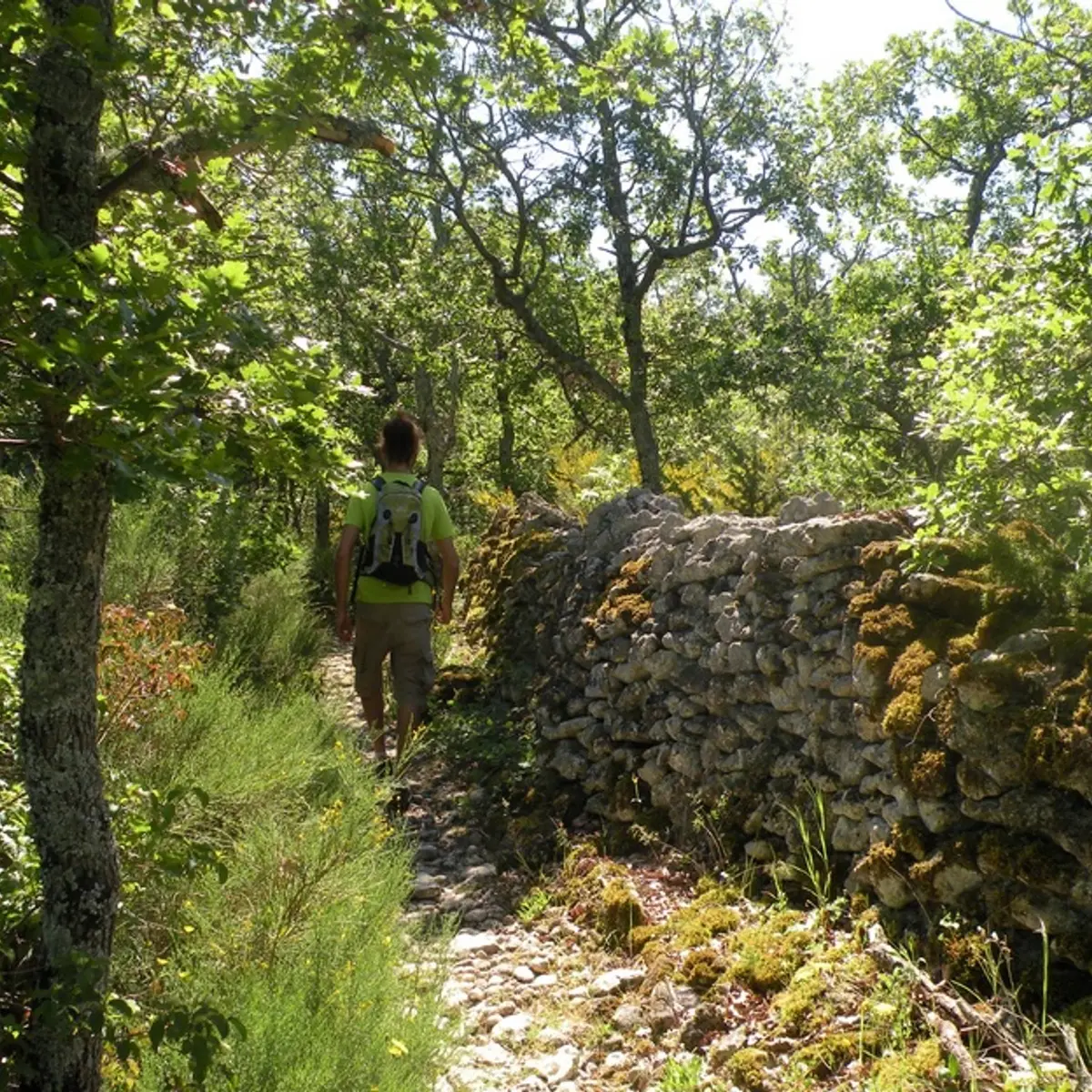 Sentier de La Gardette bordé de murs en pierre sèche