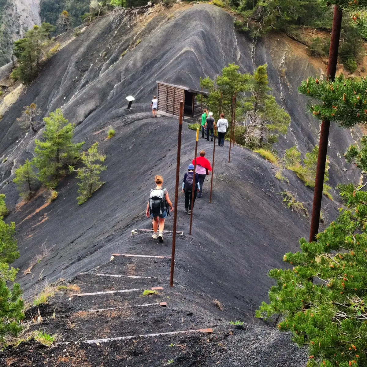 Ichtyosaure de La Melaie