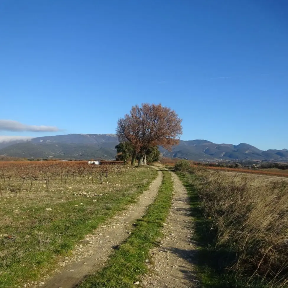 Le chemin des invasions
