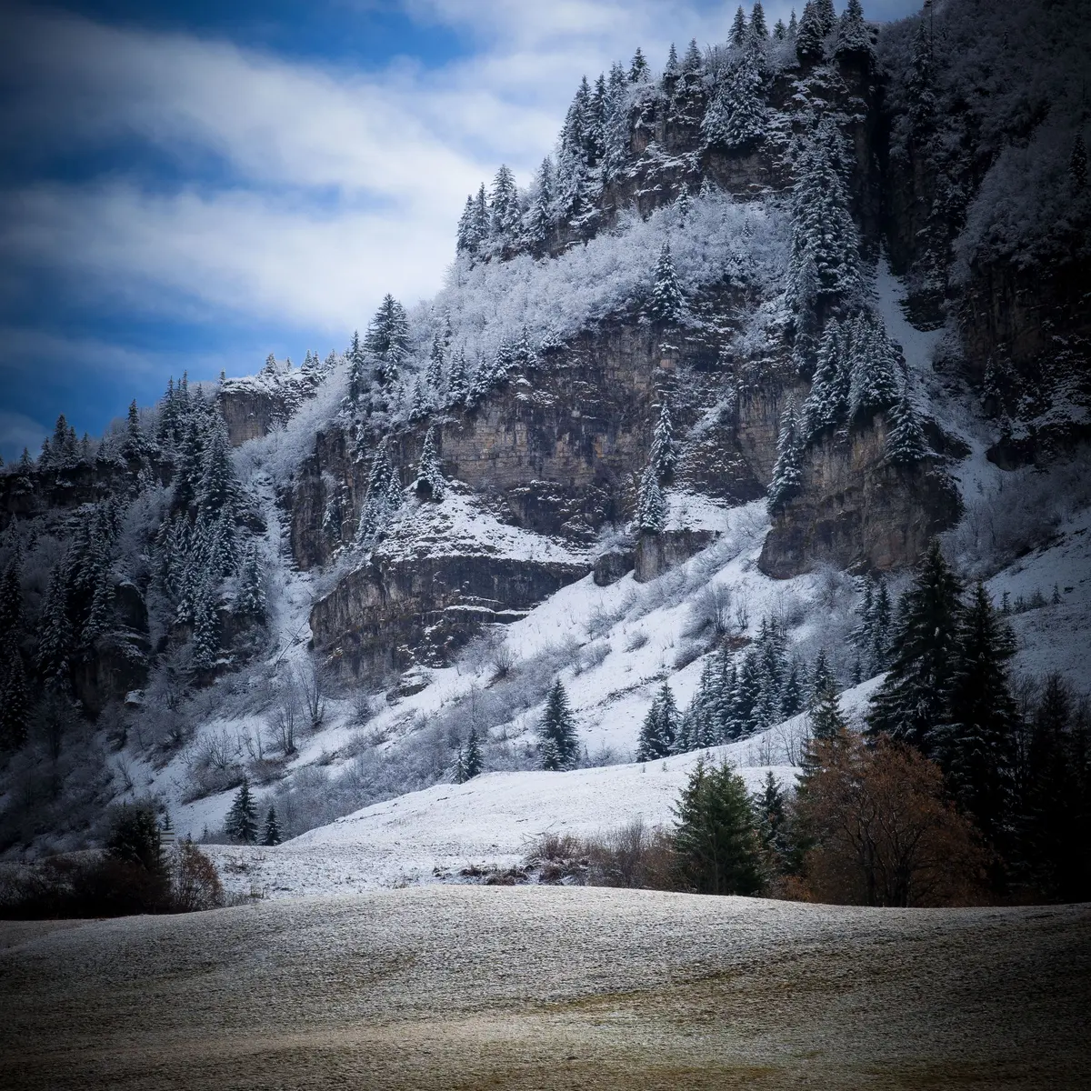 Stage Photo - Les bases de la photographie