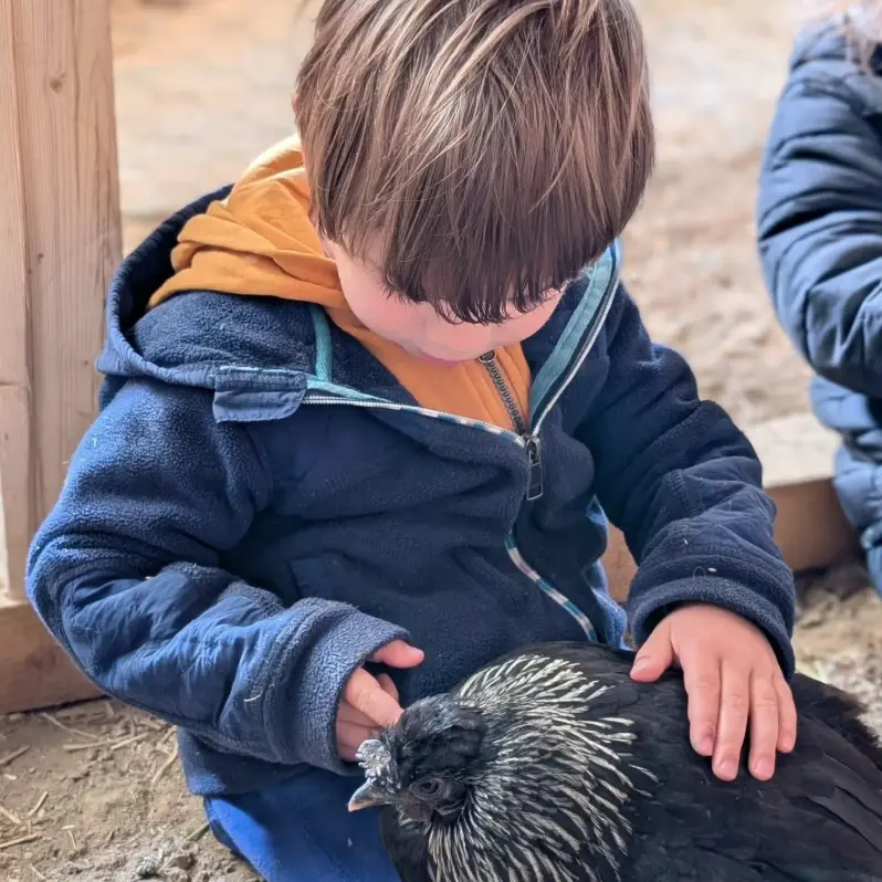 Ferme de champ rouge