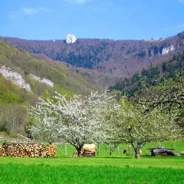 Patrimoine du village de Virieu-le-petit