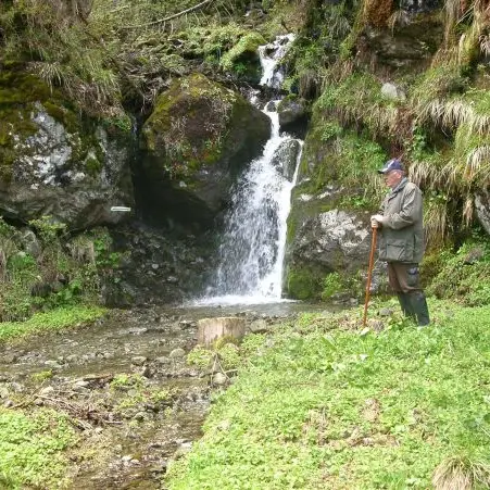 Cascade
