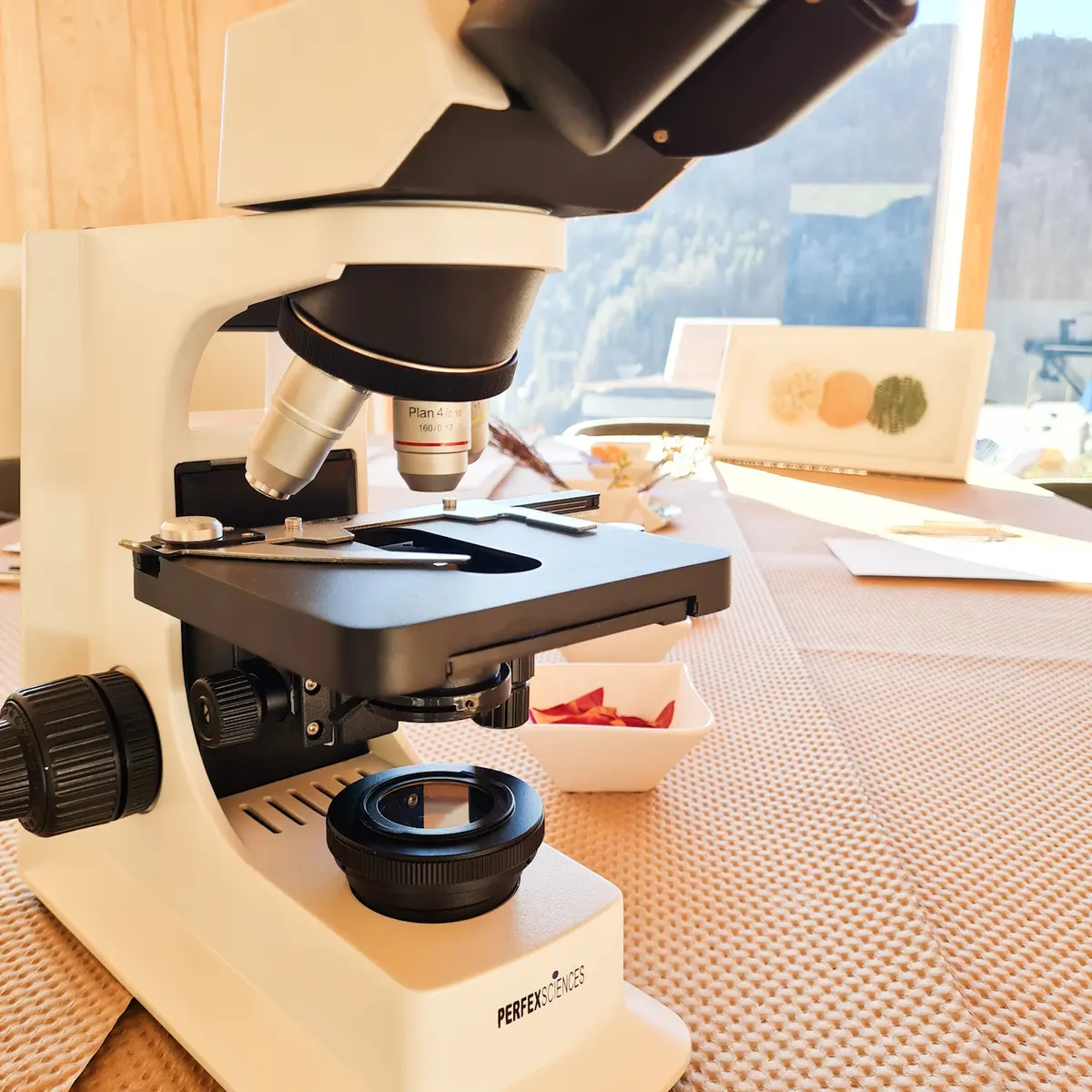 Microscope