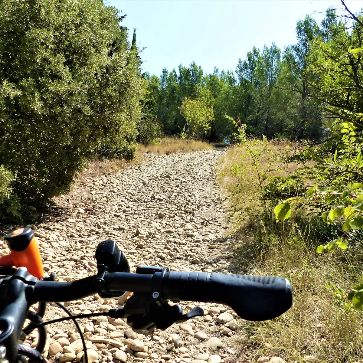 Entre Eyragues et Noves