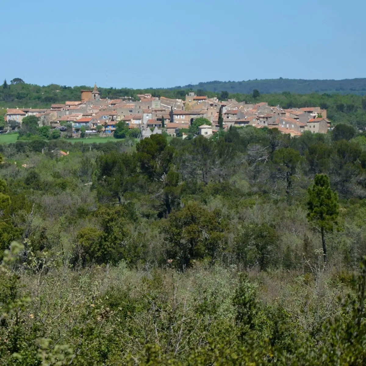 Regusse vue depuis le Pelenc