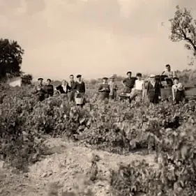 Vendanges d'antan