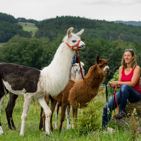 Ferme de champ rouge