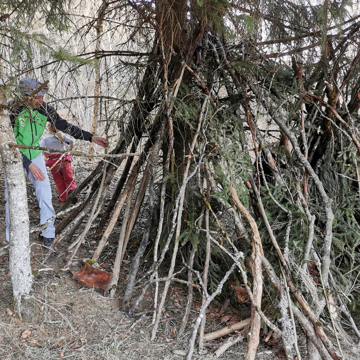 Construction d'une cabane