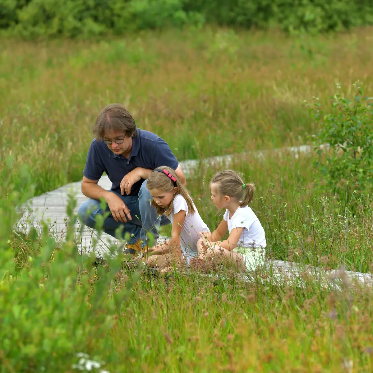 Ponton de la Tourbière à Saint-Nicolas-des-Biefs