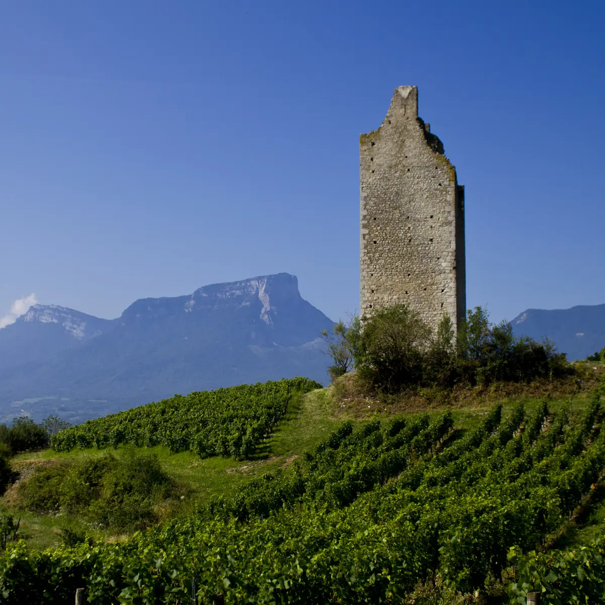 Tours de Chignin