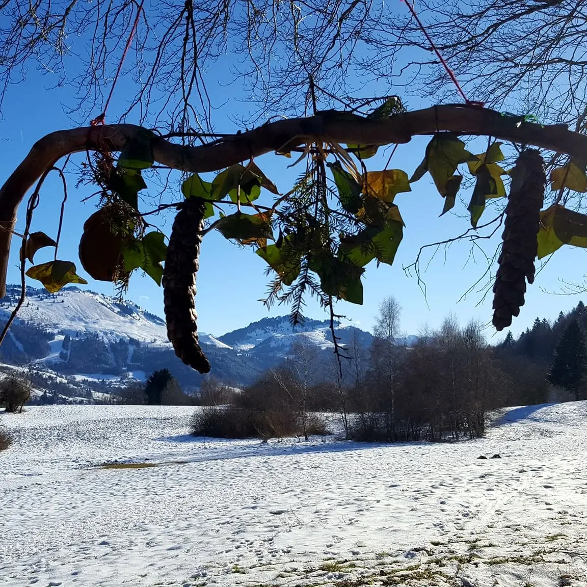 Décoration sur le sentier