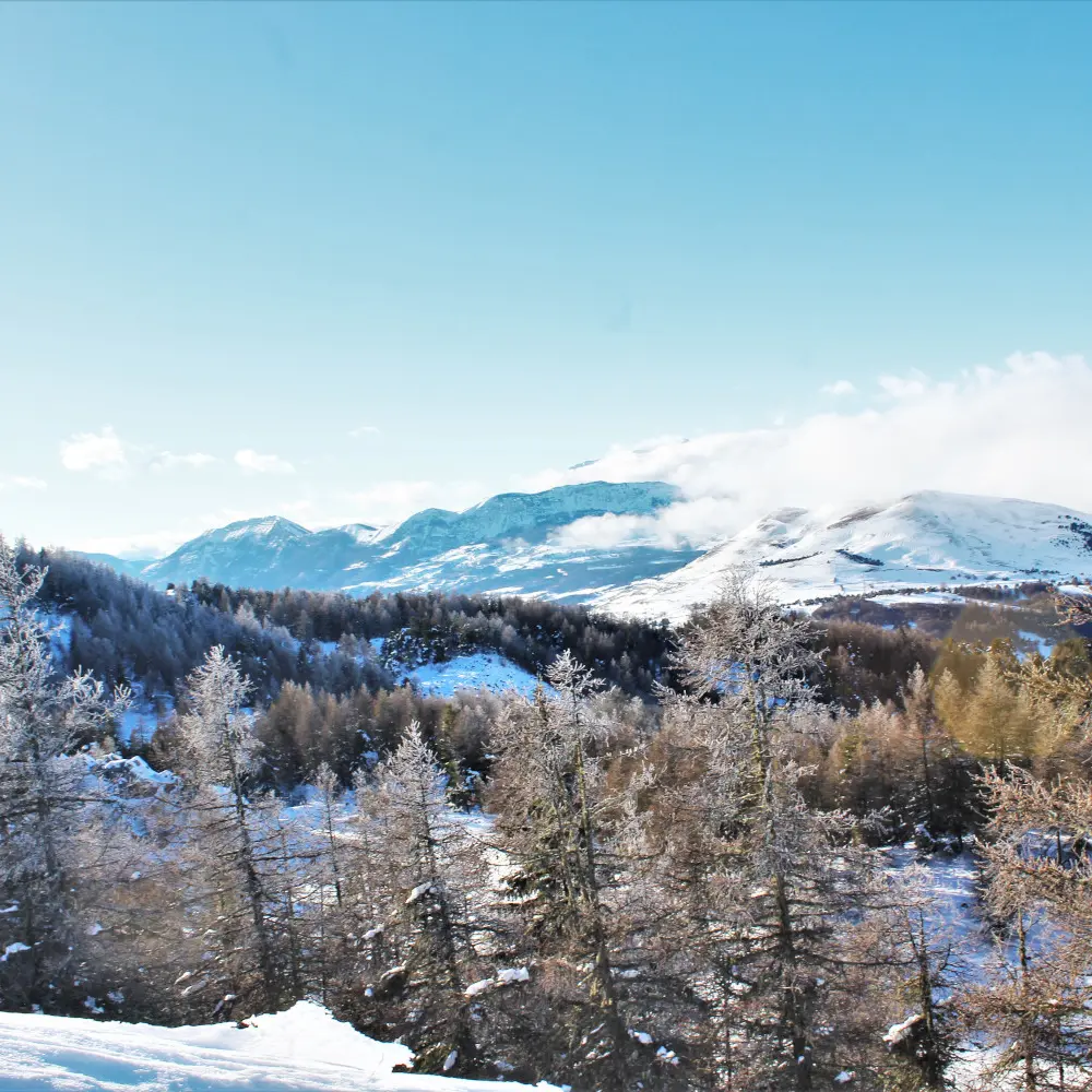 Raquettes vue Puy de Manse