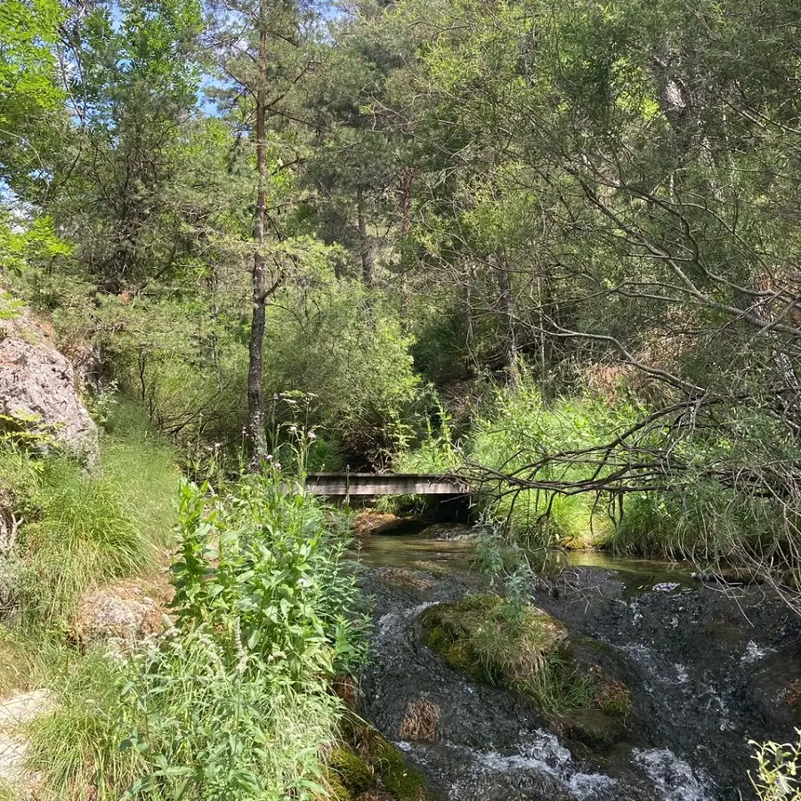 Tour des Champons Allons