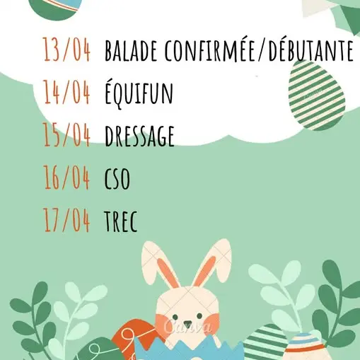 Stage semaine à thème