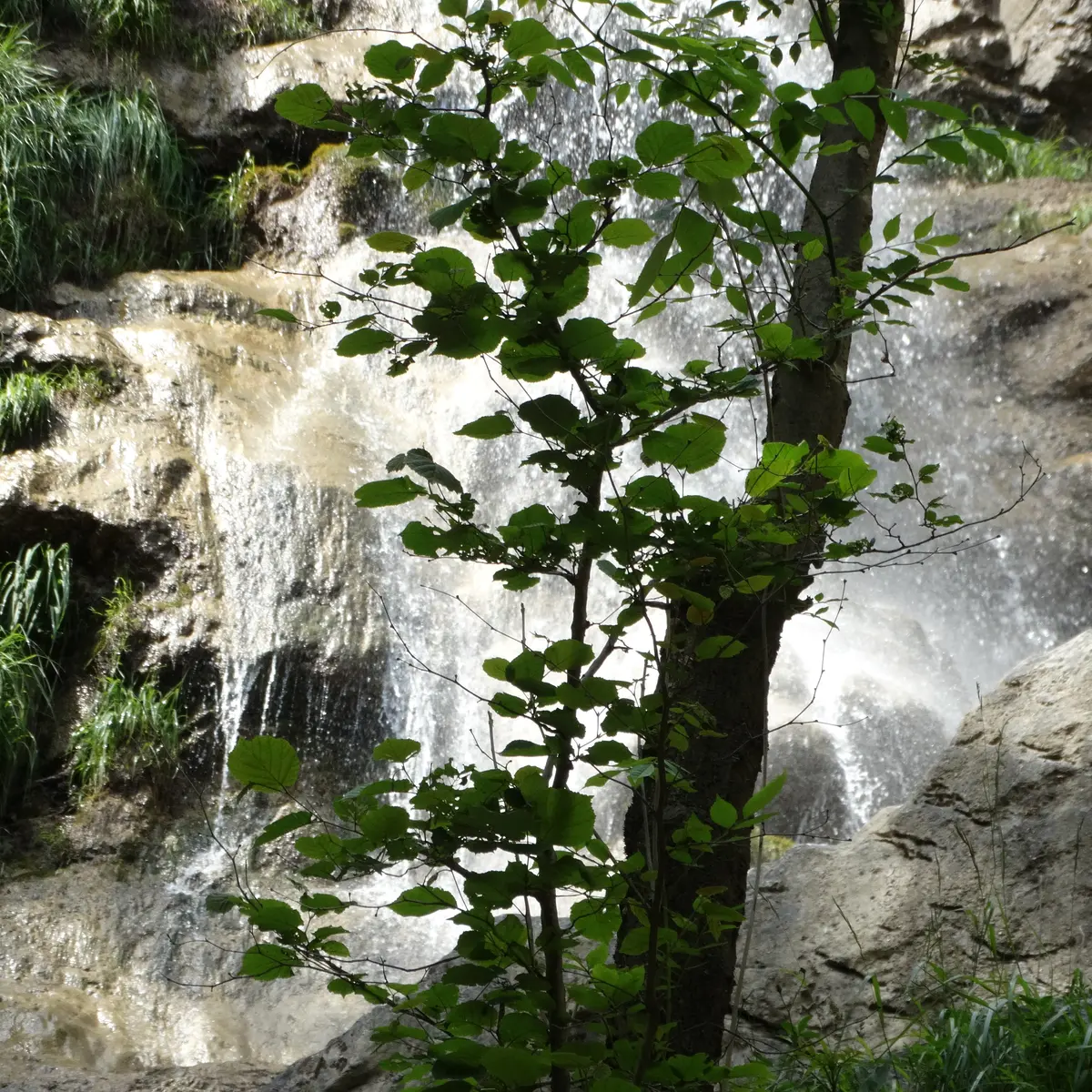 Cascade de Nant Debout
