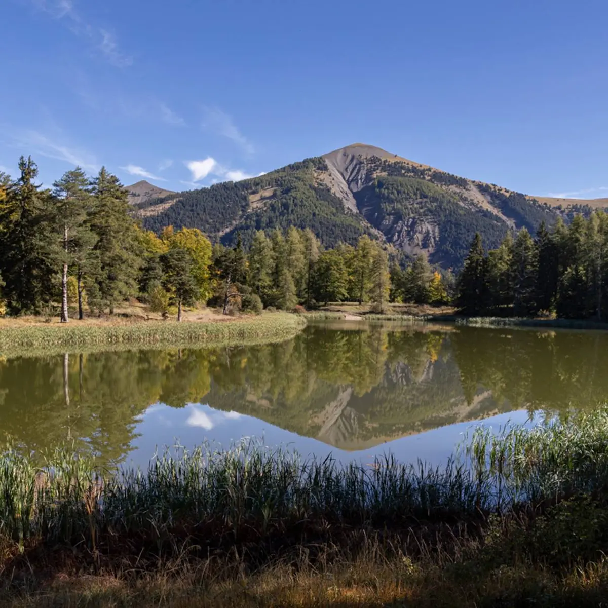 Panorama sur le lac des Monges