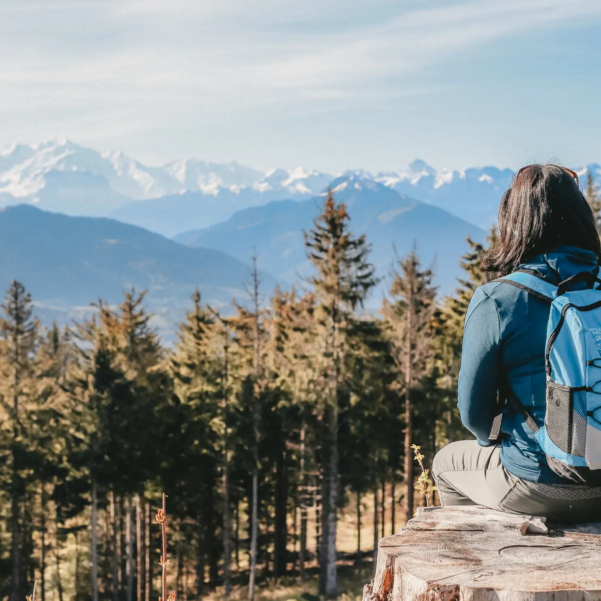 Vue sur le Mont-Blanc