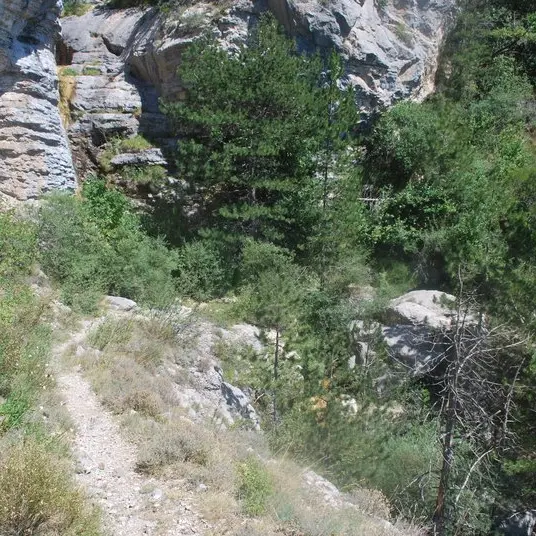 Le sentier des gorges de l'Aup