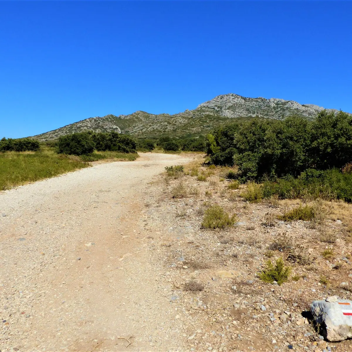 Chemin au pied des Opies