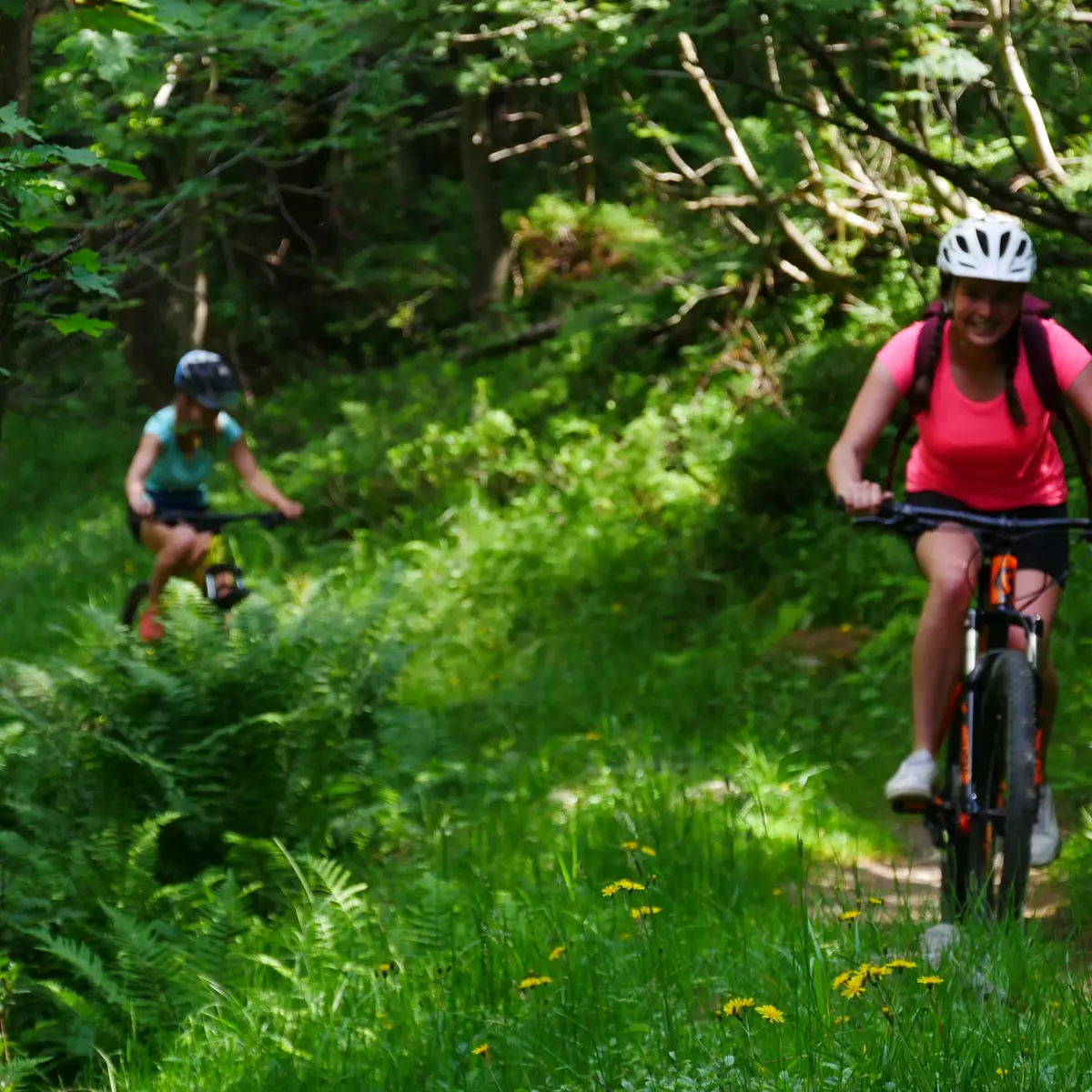 Evolution2-Chamonix-VTT découverte
