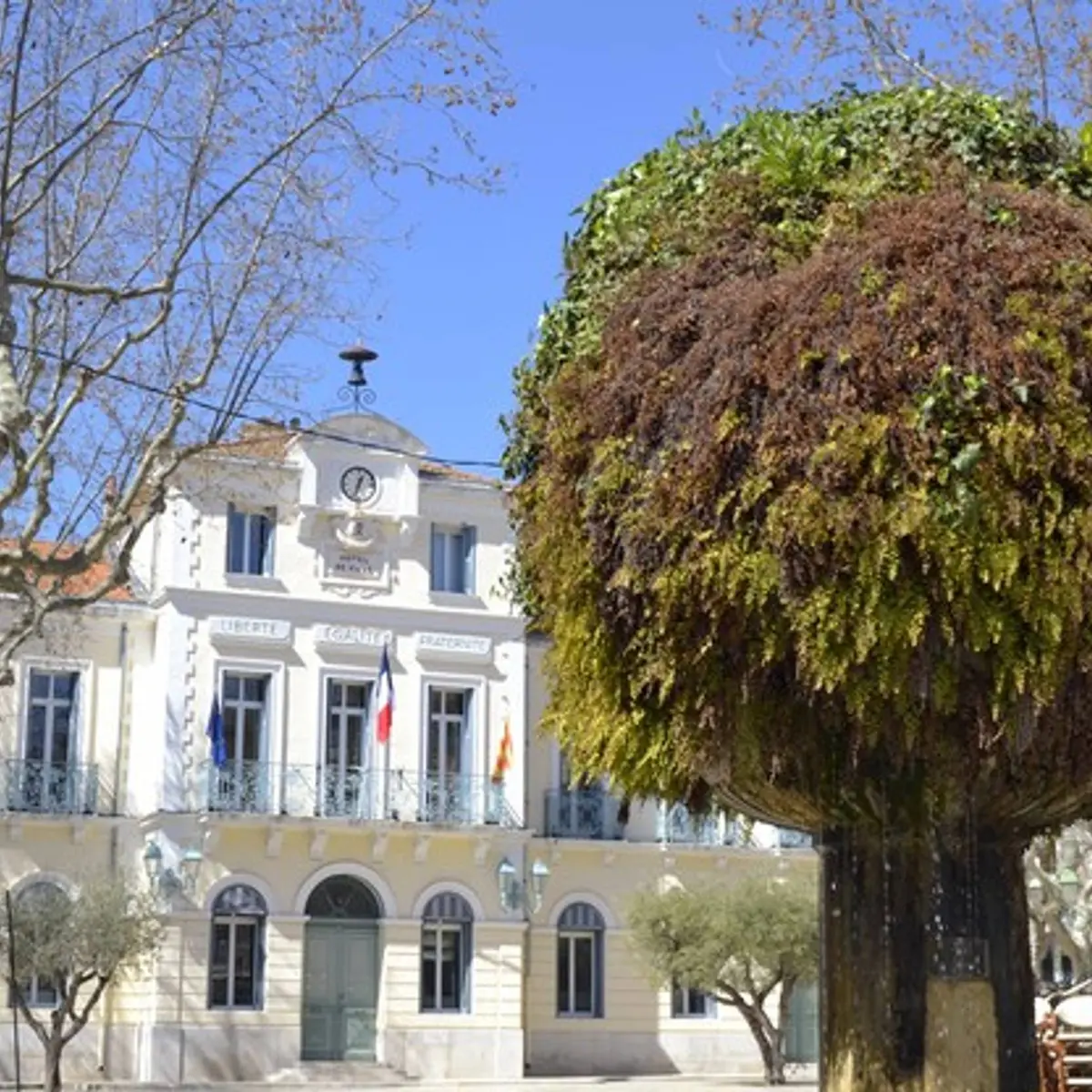 La place Jean Jaurès et sa fontaine