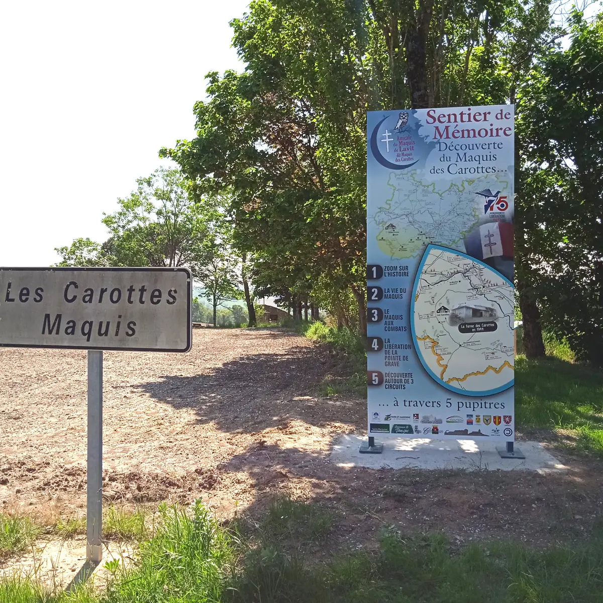 Le maquis des Carottes