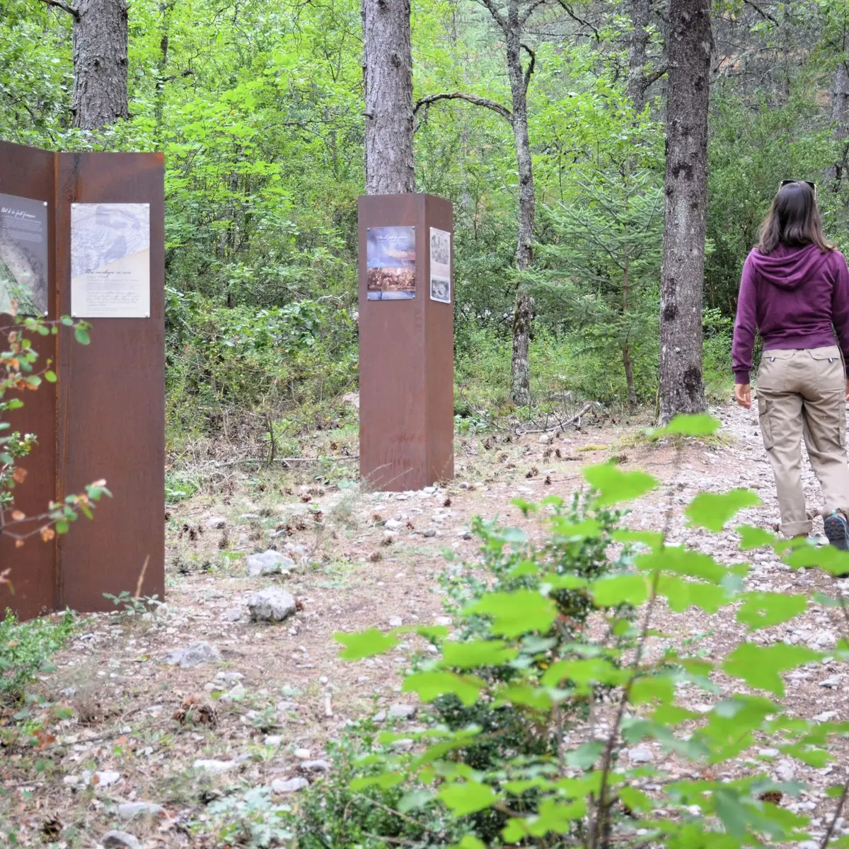 Médiation sur le Sentier du reboisement