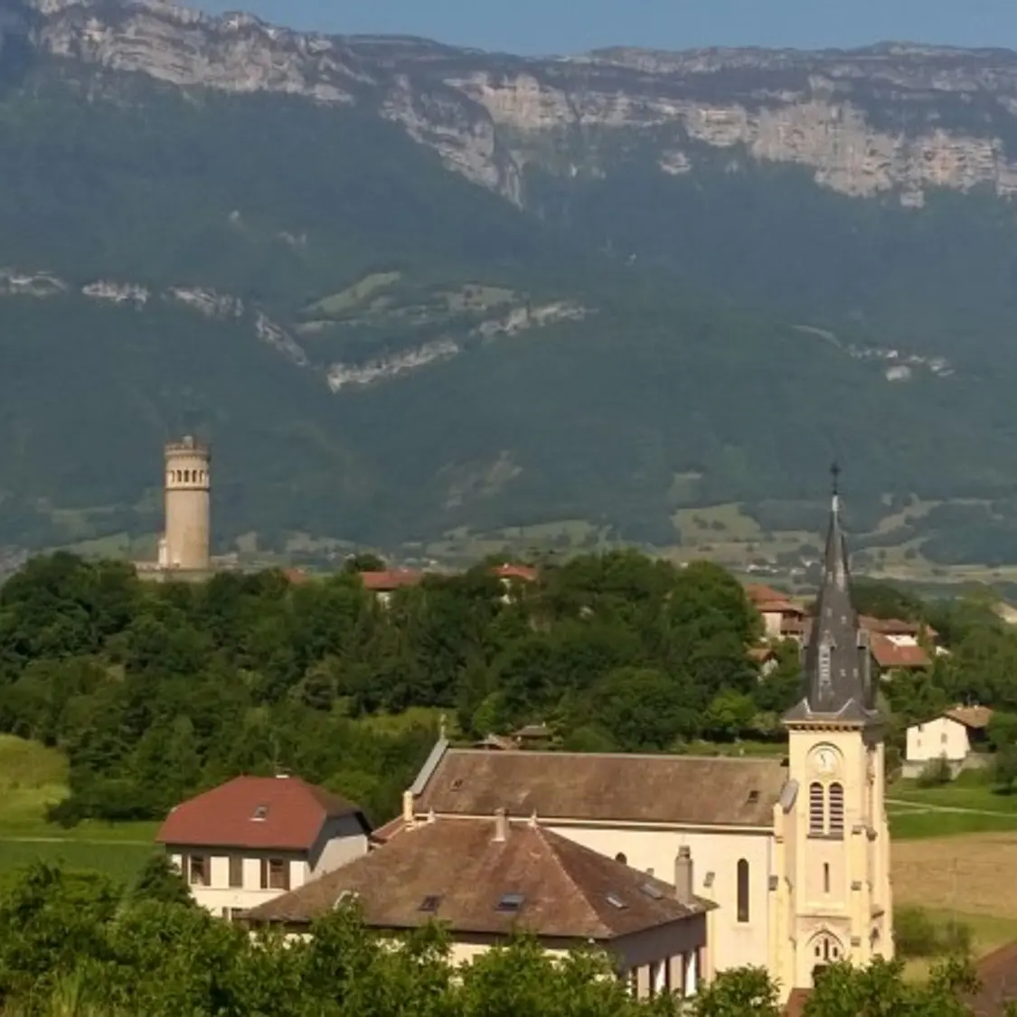 photo-prestataire