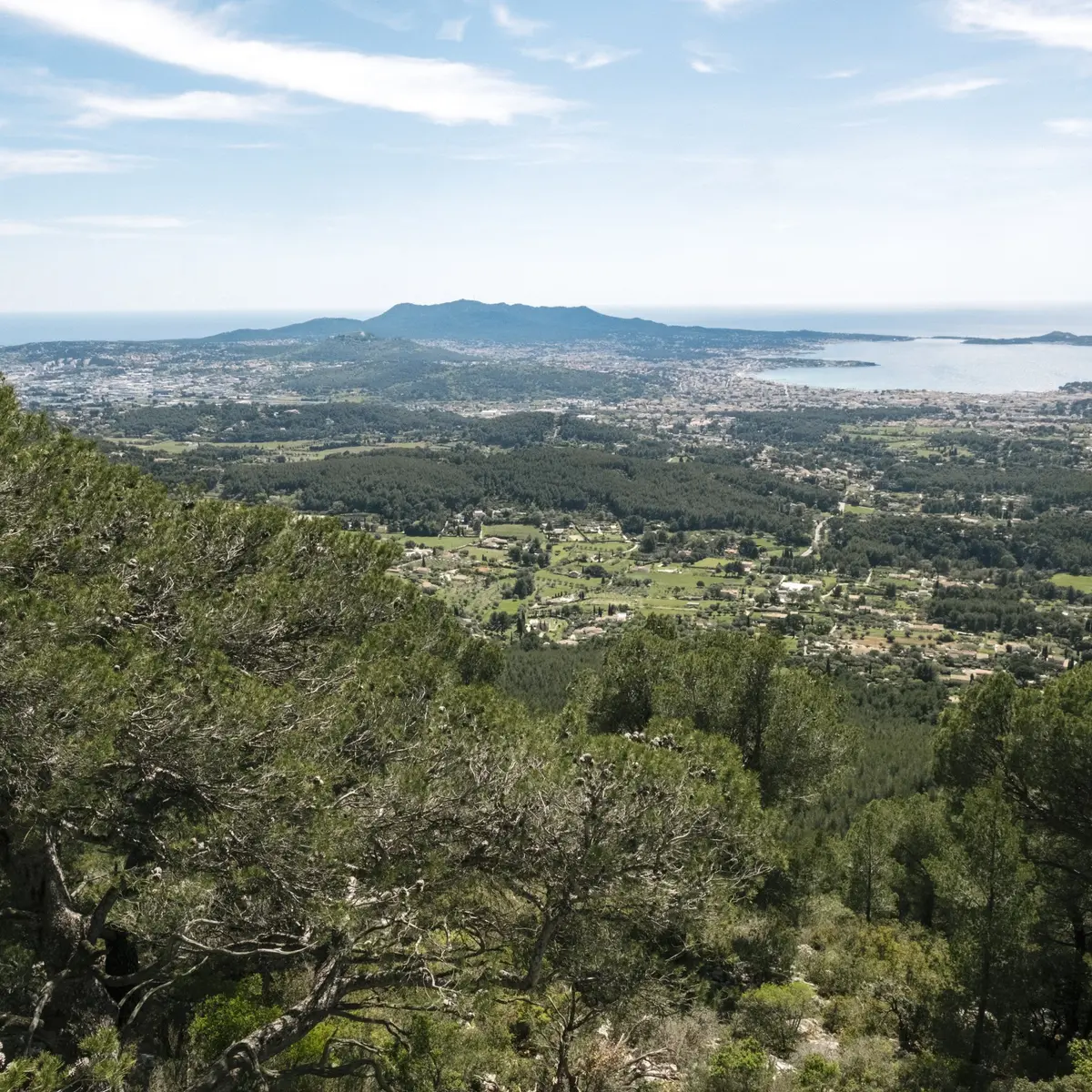 Massif du Gros Cerveau