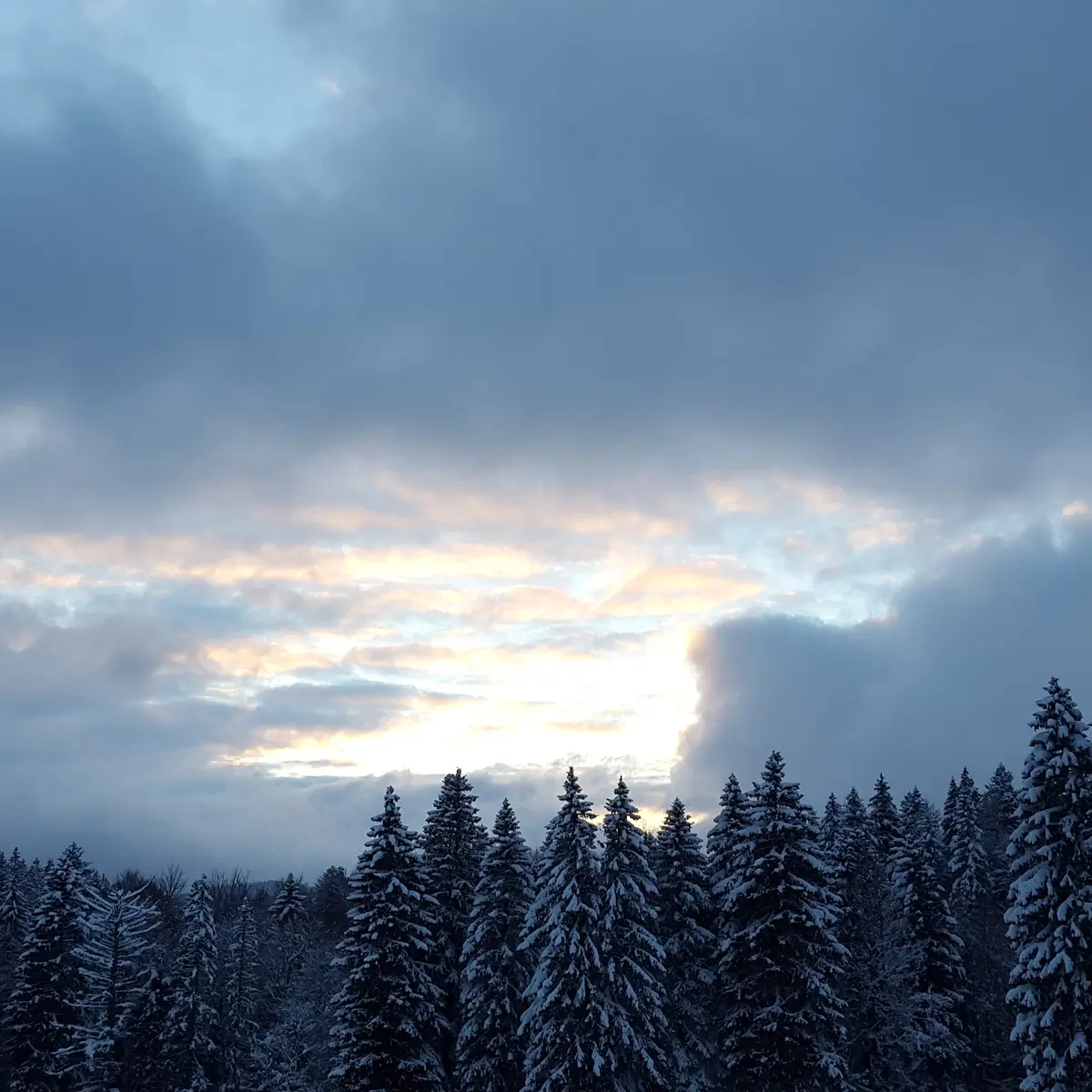 vue depuis la terrasse