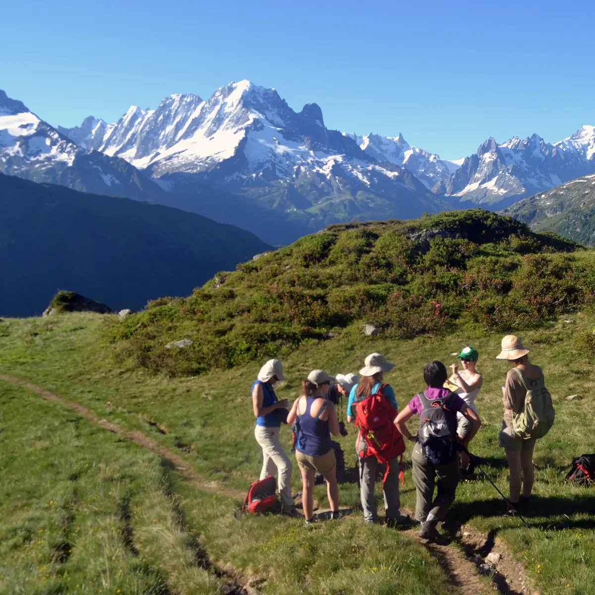 Sortie terrain botanique