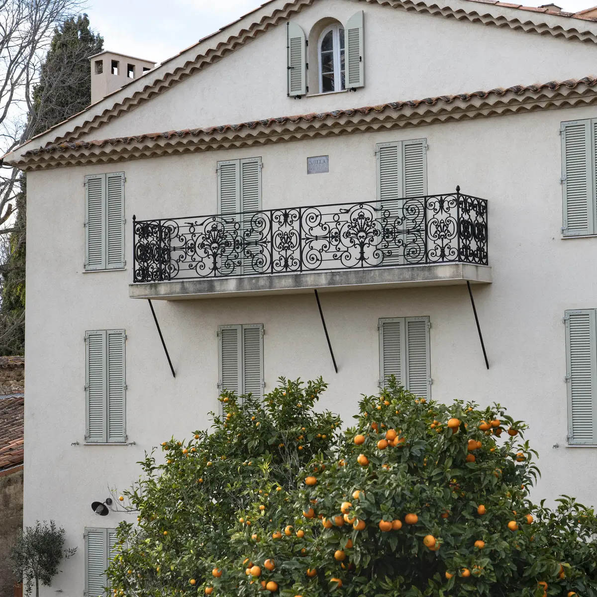Agrumes dans Grimaud