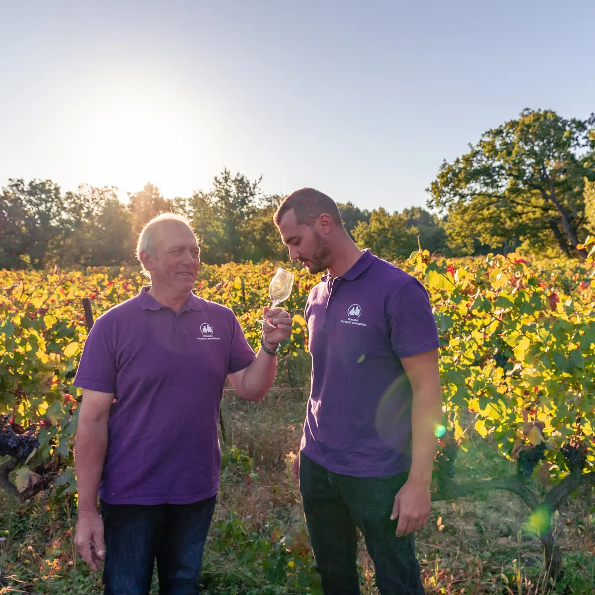 Domaine des Hauts Traversiers