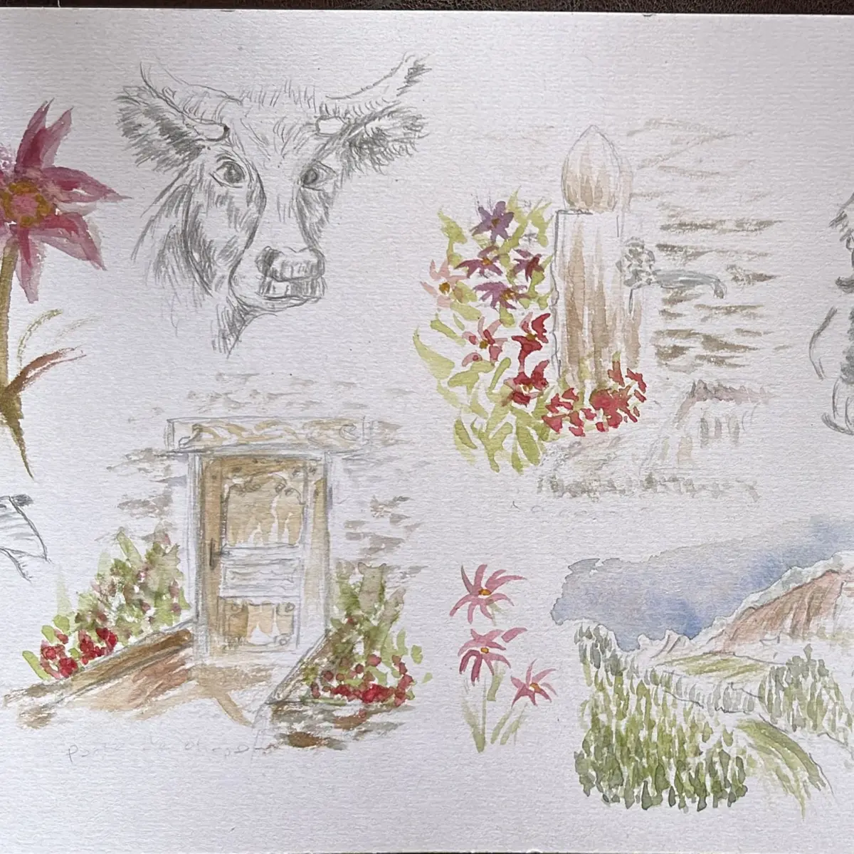 planche de croquis aquarelle nature