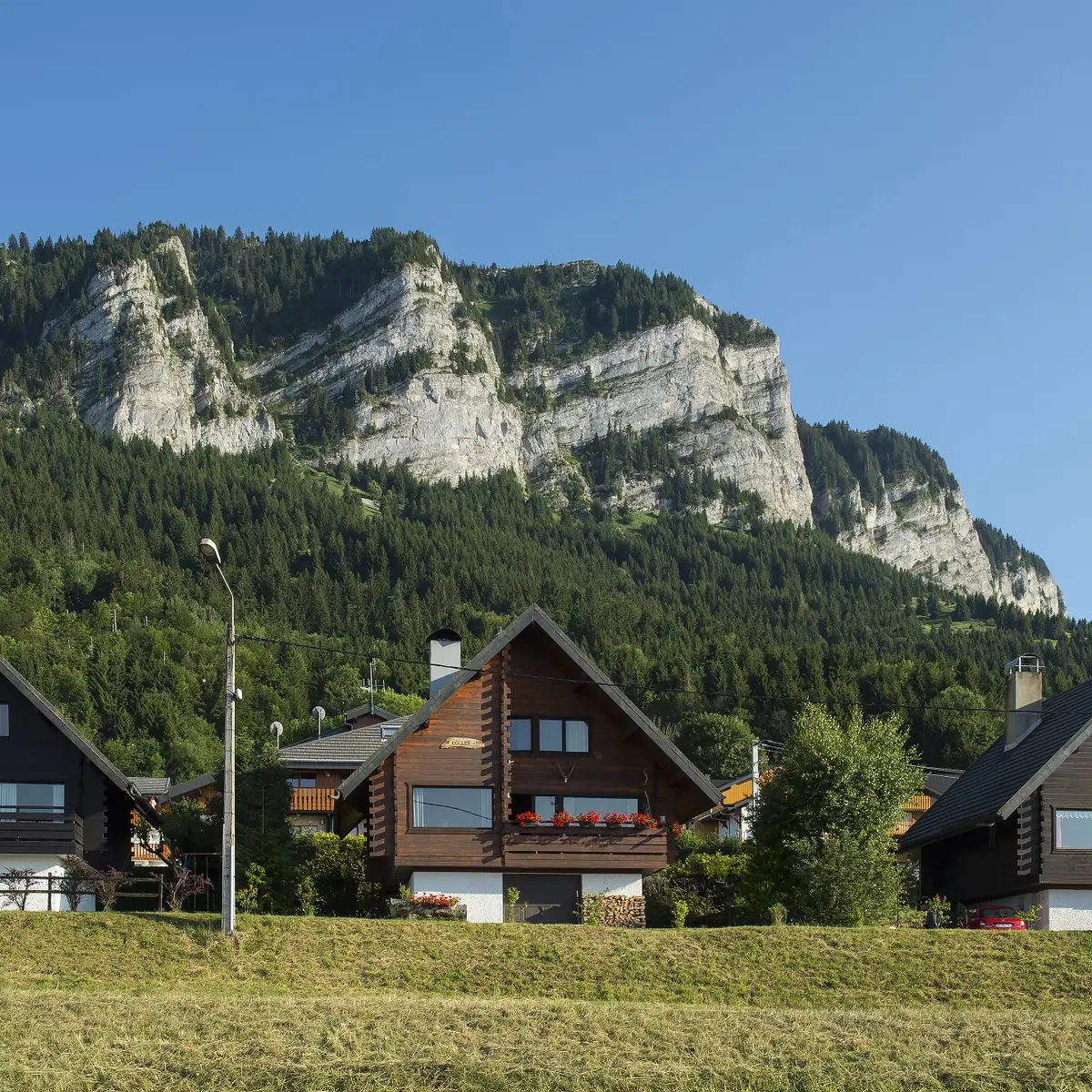 Chalets à Thollon-les-Mémises