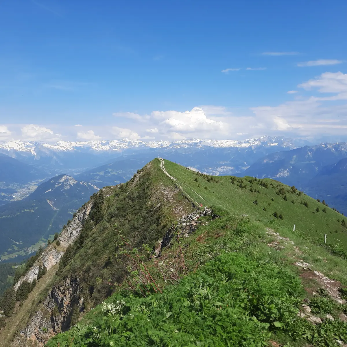 Sommet du môle - 1863 m